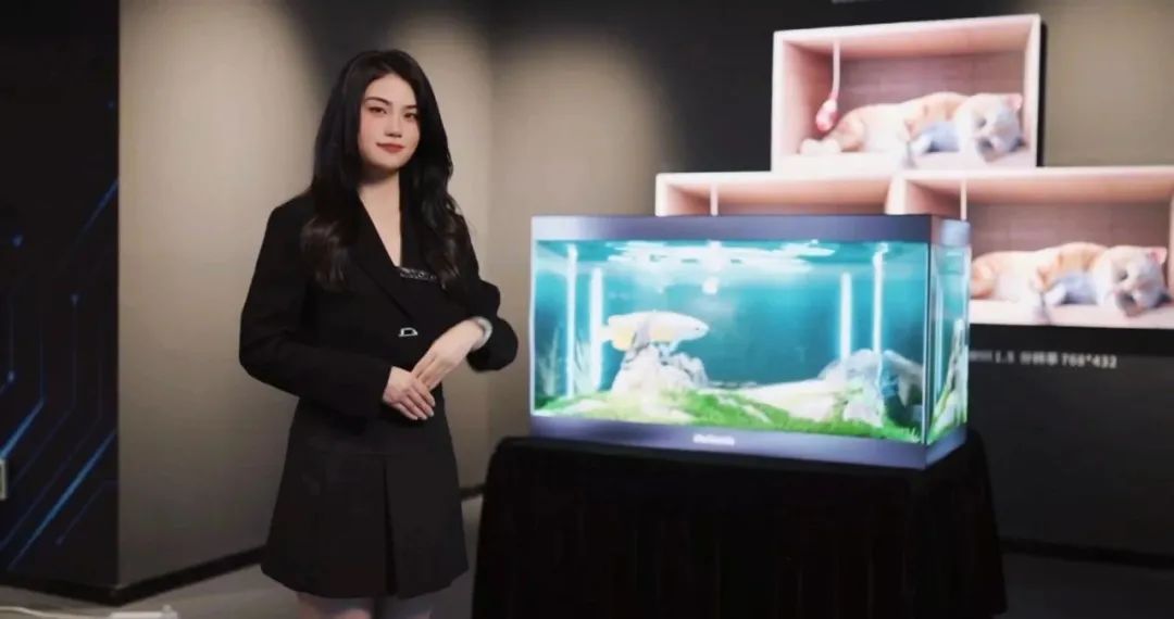 首页- Z6官网中国区人生就是博